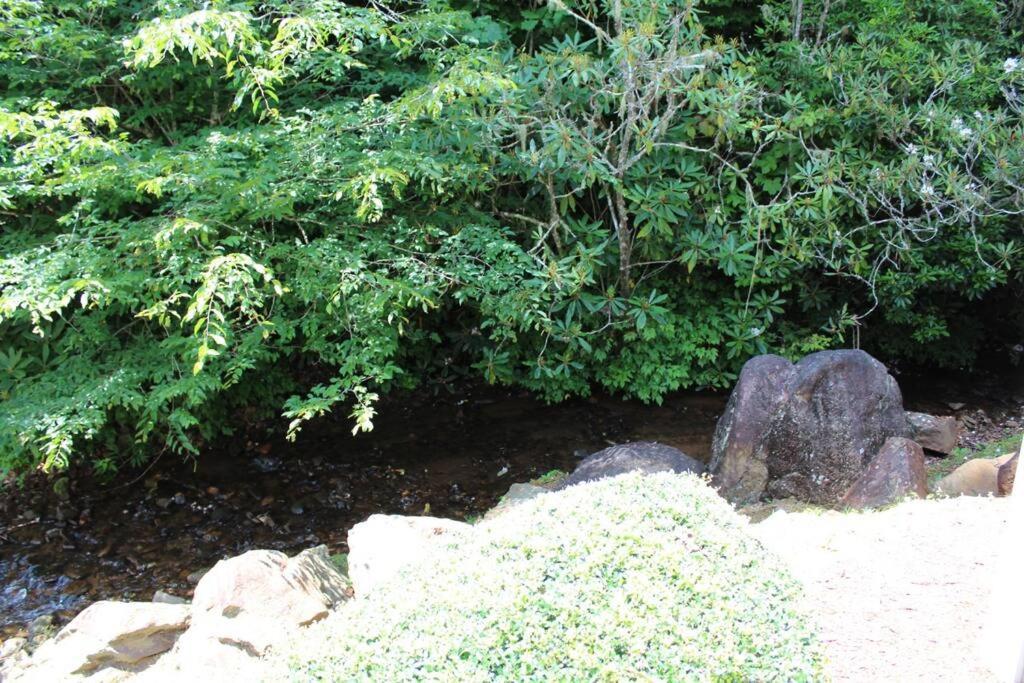 Creekside Gated Golf Mtn Villa W/Fast Wifi & Paved Franklin Exterior foto